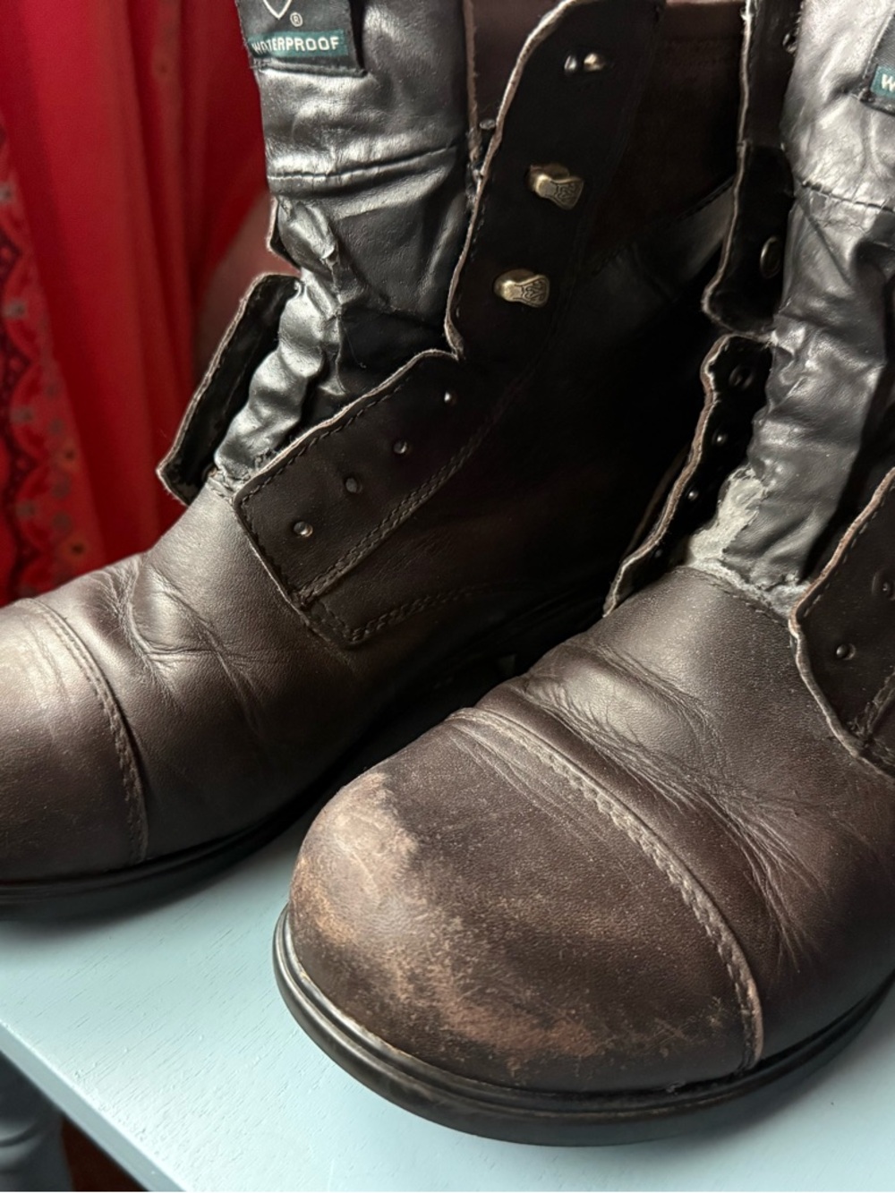 Ariat women’s winter paddock boots